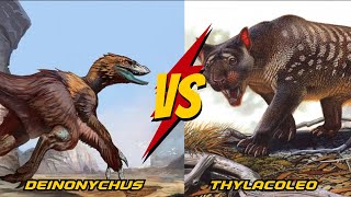 Deinonychus vs Thylacoleo The Duel of Prehistoric Predators [upl. by Vig]