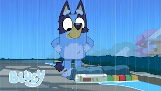 Episodios de Wholesome Bluey  Bluey Español Canal Oficial [upl. by Gnaht]