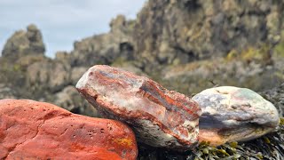 Rockhounding Seam Agate Chalcedony Banded Jasper Nova Scotias Bay of Fundy [upl. by Aridaj]