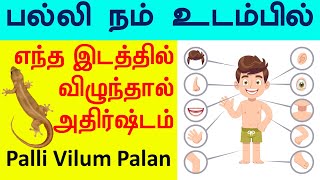 பல்லி நம் உடம்பில் எந்த இடத்தில் விழுந்தால் என்ன பலன்Palli Vilum PalanIndian Astrology prediction [upl. by Eniagrom]