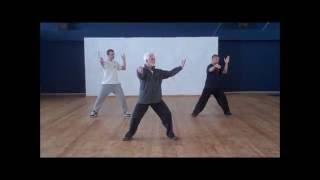 Wudang Tai Chi Chuan Cheng Tin HungDan Docherty short form  טאי צי [upl. by Harms]