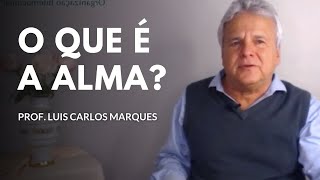 O que é Alma Prof Luís Carlos Marques Fonseca de Nova Acrópole [upl. by Moretta]