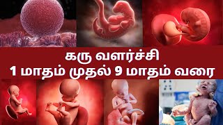 Early pregnancy symptoms in tamil 8 weeks pregnancy symptoms in tamil  8 weeks fetus development [upl. by Masson960]