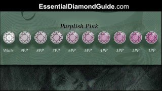 021 Pink Diamond Chart showing Argyles Diamond Grading [upl. by Landy]