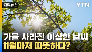 자막뉴스 9월 여름 10월도 여름11월도 따뜻한 날씨 이어지나  YTN [upl. by Llednik]