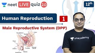 NEET Human Reproduction  Quiz 1  DPP  Class 12  Live Quiz 20  Unacademy NEET  Sachin Sir [upl. by Anayit]