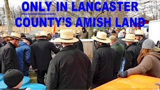 UNIQUELY LANCASTER COUNTYFire Company MUD SALESStrasburg Mud Sale 2024AMISH LAND Fundraiser [upl. by Therine]