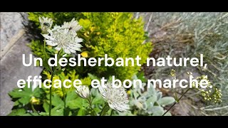 Un désherbant naturel efficace et bon marché [upl. by Eussoj]