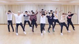 SEVENTEEN Dont Wanna Cry mirrored Dance Practice [upl. by Hamforrd]