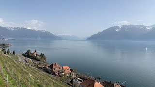 Chexbres Switzerland  🇨🇭 the beauty of the nature [upl. by Elsbeth]