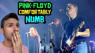 Pink Floyd  Comfortably Numb REACTION WRITER REACTS FOR THE FIRST TIME [upl. by Ashlen788]