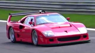 Ferrari F40 LM INSANE SOUND  Accelerations Fly Bys and Backfiring [upl. by Clava]