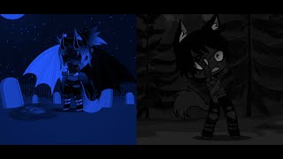 A Wolf in an All Elite School Ep9 Back from the Dead  Gacha Club [upl. by Ettelimay292]