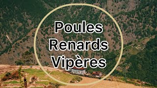 Poules renards vipères [upl. by Trauts]