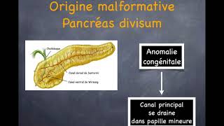 Pancréatite aiguë  5 Diagnostic étiologique [upl. by Eetsud]