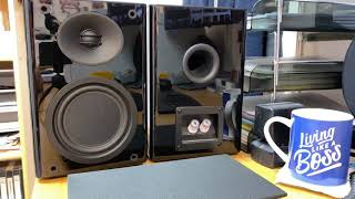 Harman Kardon MAS Speakers Product Review [upl. by Emmeram319]