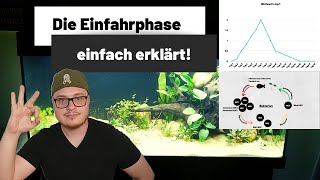 Wie lass ich ein Aquarium einfahren  Einfahrphase im Aquarium einfach erklärt [upl. by Iggem]