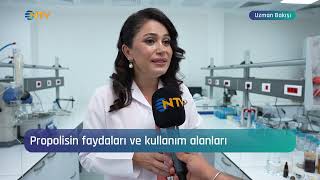 NTV Uzman Bakışı  Aslı Elif Tanuğur Samancı  15102024 [upl. by Doroteya3]