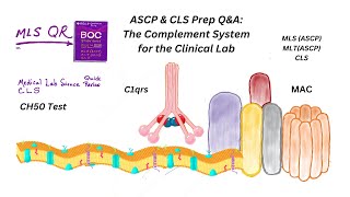 ASCP QampA of Complement System for the Clinical Lab [upl. by Cristiona]