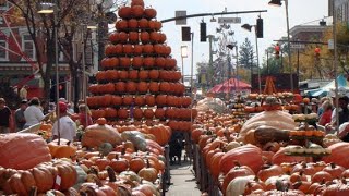 Circleville pumpkin show 2024 [upl. by Zinn607]