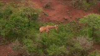 HOME  The Adventure with Yann ArthusBertrand [upl. by Mollee]