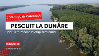 Pescuit la Dunăre după crap si mreană Provocare pe caniculă BONUS  Cine sapă șanțurile in pădure [upl. by Relyc]