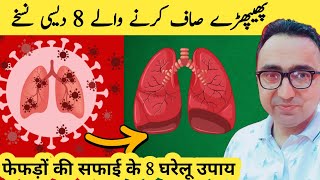 Top 8 Herbs for Lung Health Clearing Mucus COPD and Killing Viruses [upl. by Mraz]