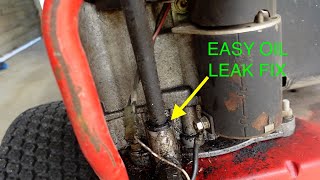 Briggs amp Stratton Dipstick Tube Grommet Replacement OIL LEAK FIX [upl. by Elsinore]