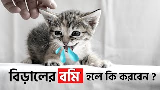 Cat Vomiting Problem Solution  বিড়ালের বমি সমস্যার সমাধান জানুন এই ভিডিও তে  Infotent [upl. by Harlin]