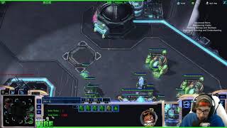 ViBE  Protoss Bronze to GM Series  Masters 1 to GM  Part 1 [upl. by Nilorac]