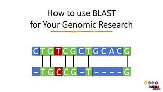 How to Use BLAST for Finding and Aligning DNA or Protein Sequences [upl. by Ahsaz]