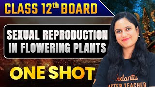 Sexual Reproduction in Flowering Plants FAST One SHOT🔥 Full Revision in 20 Min  Class 12  NEET [upl. by Enhpad245]