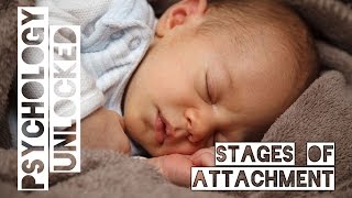 How Babies Form Attachments  Four Stages  Schaffer amp Emerson [upl. by Dane]