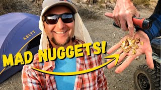 WHOLE BUNCH of GOLD NUGGETS with the Metal Detector Gold Detector Machine [upl. by Aleirbag]