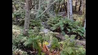 Glen Deven Big Sur Hike [upl. by Ivzt]