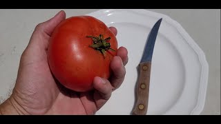 Hossinator Tomato Review [upl. by Ted42]