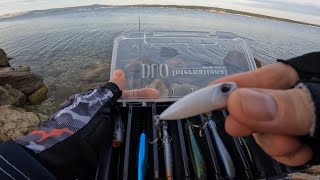 Adriatic Sea fishing on Duo Pocopoco 40F and Xorus Patchinko 85 [upl. by Gannon101]