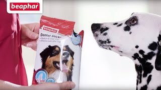 Dental healthcare for dogs  Dental Sticks [upl. by Ettezyl307]