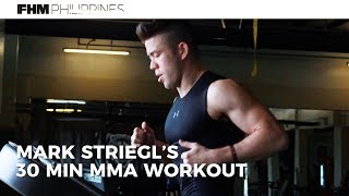 Mark Striegls 30Minute MMA Workout [upl. by Ahsiken]