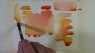 Quick Tip Favorite Color Mixes Quinacridone Gold and Quinacridone Coral [upl. by Lewan]