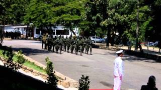 Desfile do Batalhão Tonelero [upl. by Nylrats]