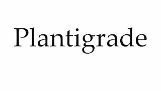 How to Pronounce Plantigrade [upl. by Appleton]