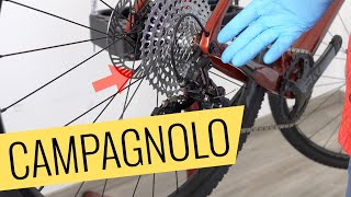 Campagnolo EKAR 13fach Schaltung einstellen  einfach amp schnell  Fahrradorg [upl. by Ahsyla]