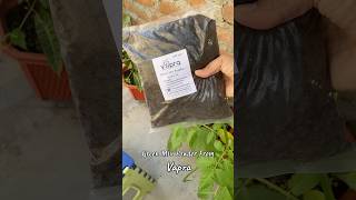 Green mix Powder from Vapra Composting compost garden shorts [upl. by Abramson]