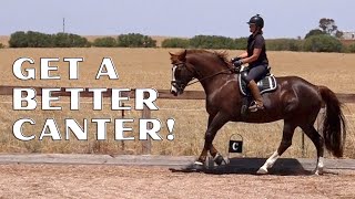 How To School A Horse To Improve The Canter [upl. by Willette529]