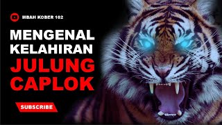 Mengenal Kelahiran Julung Caplok  Mbah Kober 102 [upl. by Krusche]