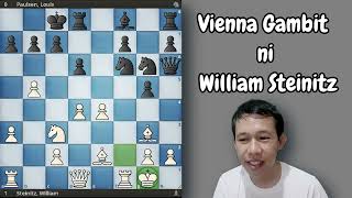 Vienna Gambit ni William Steinitz chess [upl. by Fridell126]