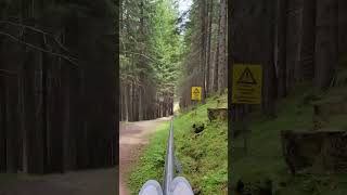 Alpine Coaster Mieders Austria  Sommerrodelbahn Alpine Slide [upl. by Irrol]