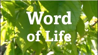 Word of Life May 2024 FocoB [upl. by Celia]