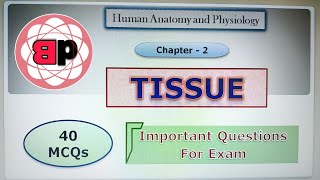 MCQ  Chapter 2 Elementary Tissues  40 Important Questions for Exam  Tissue level of organisation [upl. by Ainehs]